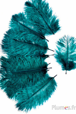 Strauss Bellies - 8-13 cm - jade